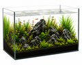 Aquael 25L Glass Aquarium Fish Tank - 41x25x25cm
