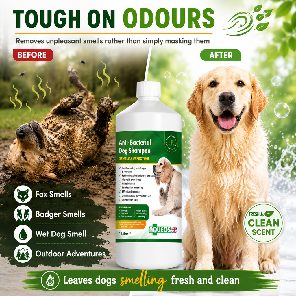Aqueos Medicated Dog Shampoo 1 Litre Anti Fungal Bacterial Viral Itch Relief