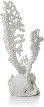 biOrb Fan Coral Ornament White Medium