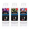 Red Sea Foundation Supplements - Complete Pack | R22006