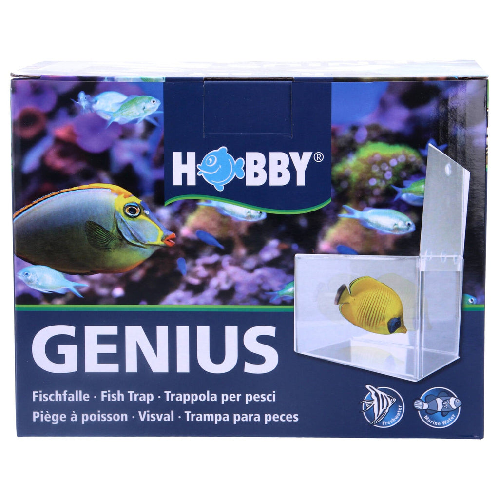 Invisible Underwater Fish Trap – Hobby Genius