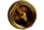 Brass Spring Check Valve 3/4" BSPF