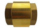 Brass Spring Check Valve 3/4" BSPF