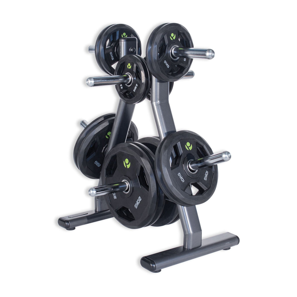 Physical Company Olympic Plate Tree