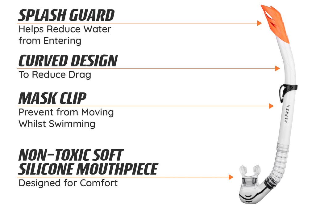 Adult Split Lens Snorkel Set - Clear