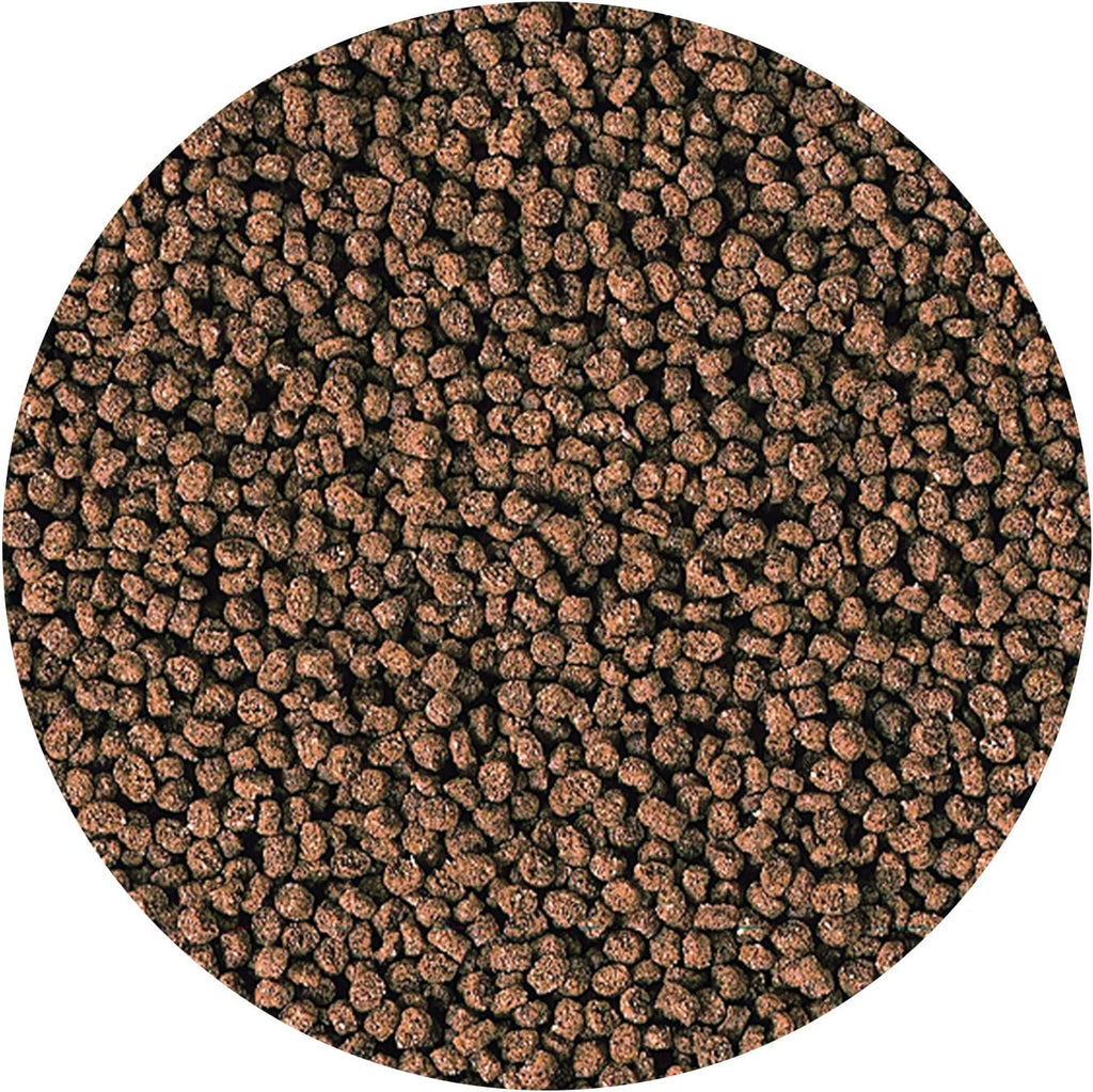 Hikari Marine S Pellets 50g - Small Fish Daily Diet
