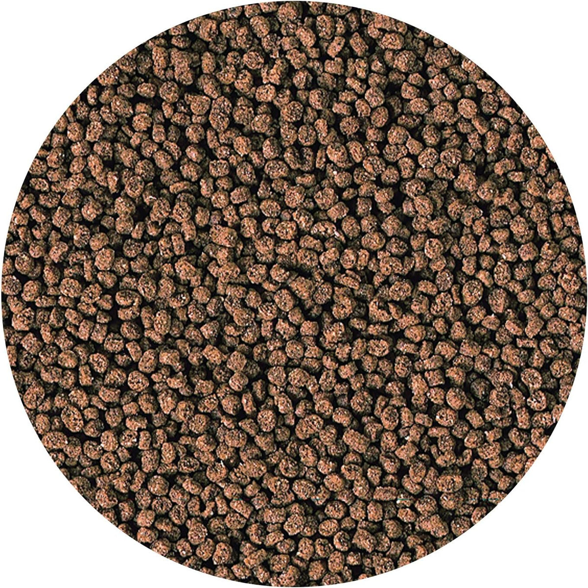 Hikari Marine S Pellets 50g - Small Fish Daily Diet