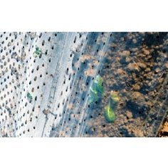 Perforated  Row Covers
