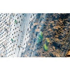 Perforated  Row Covers