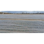 Perforated  Row Covers