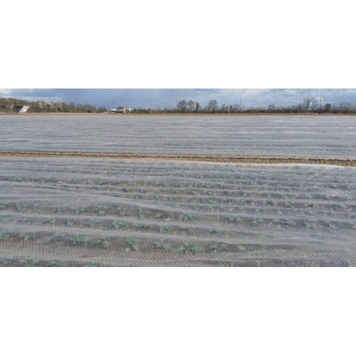 Perforated  Row Covers