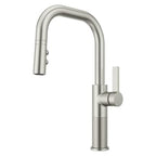 Open Box - Pfister GT-529-MTS - Kitchen Faucet