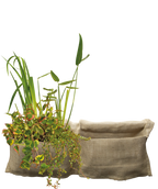 Superfish Marginal Plant Bag 100x60cm