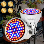Phyto Led Hydroponic Growth Light