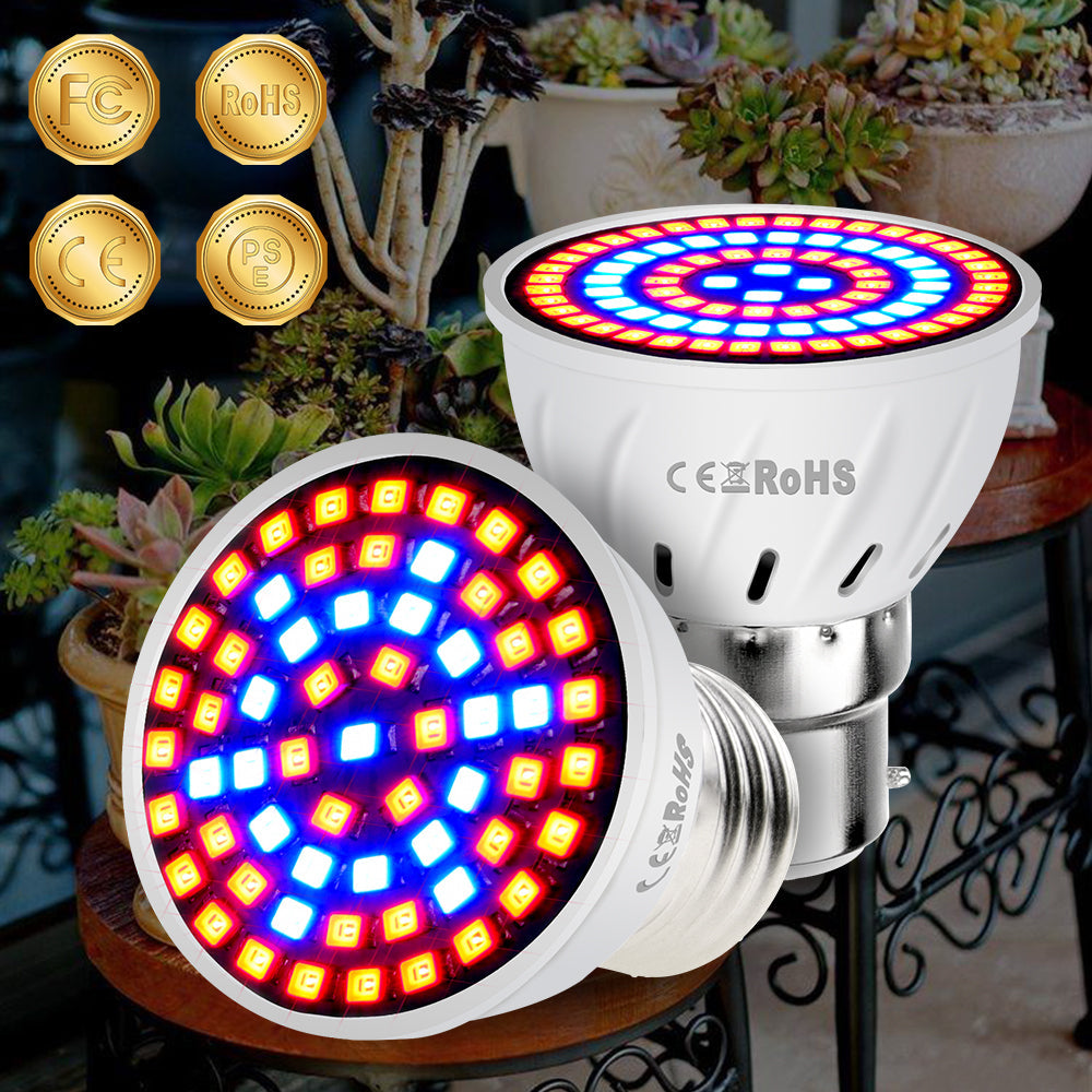 Phyto Led Hydroponic Growth Light