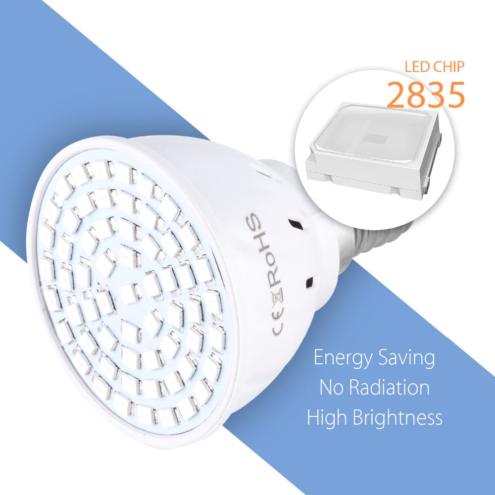 Phyto Led Hydroponic Growth Light