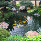 Bermuda Garden Outdoor Heavy Duty Durable PVC Pond Liners