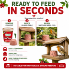 Gardman Table Toppers Berry High Energy Wild Bird Treats Food