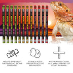 Exo Terra T5 VHO UVB Bulbs – Reptile Lighting Solution