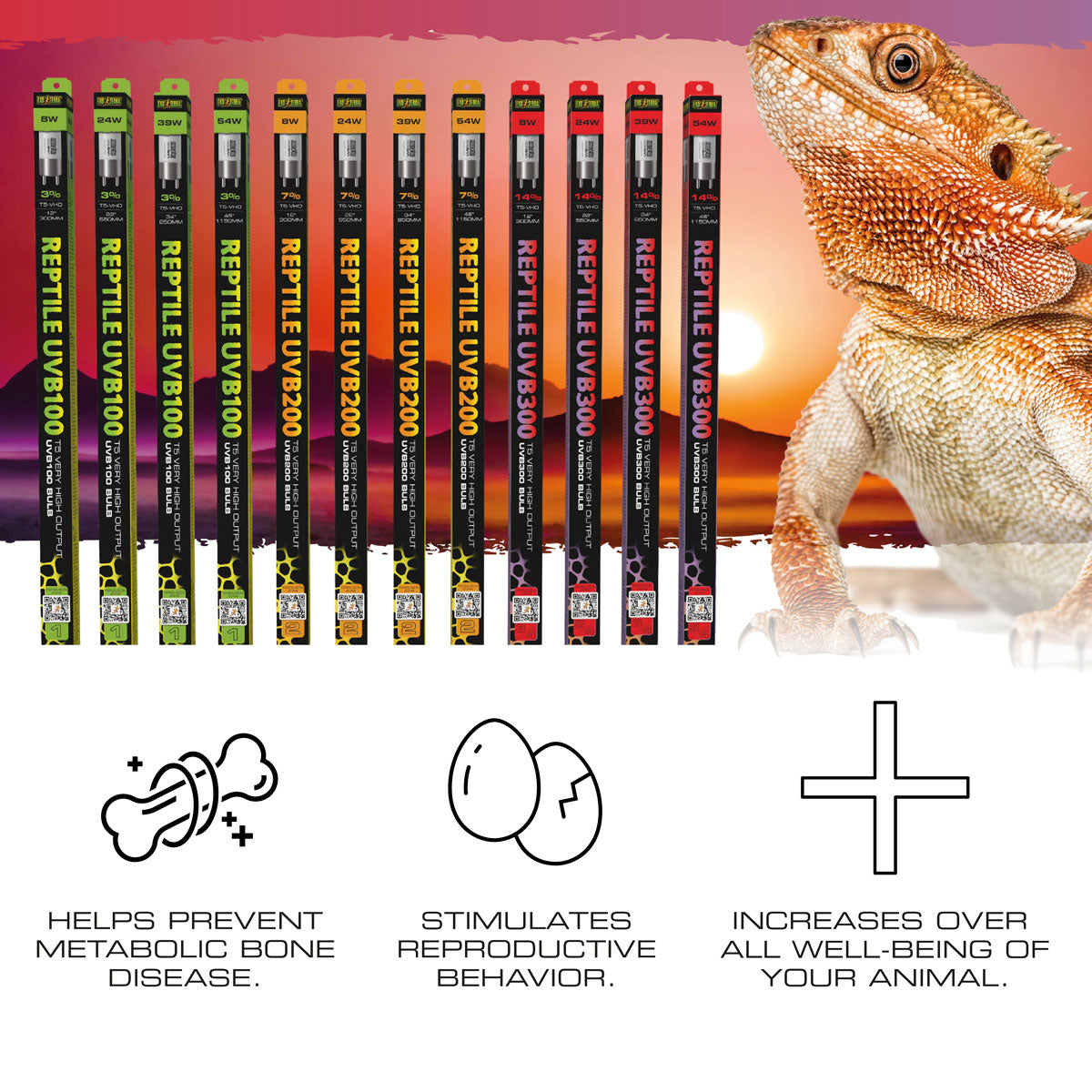Exo Terra T5 VHO UVB Bulbs – Reptile Lighting Solution