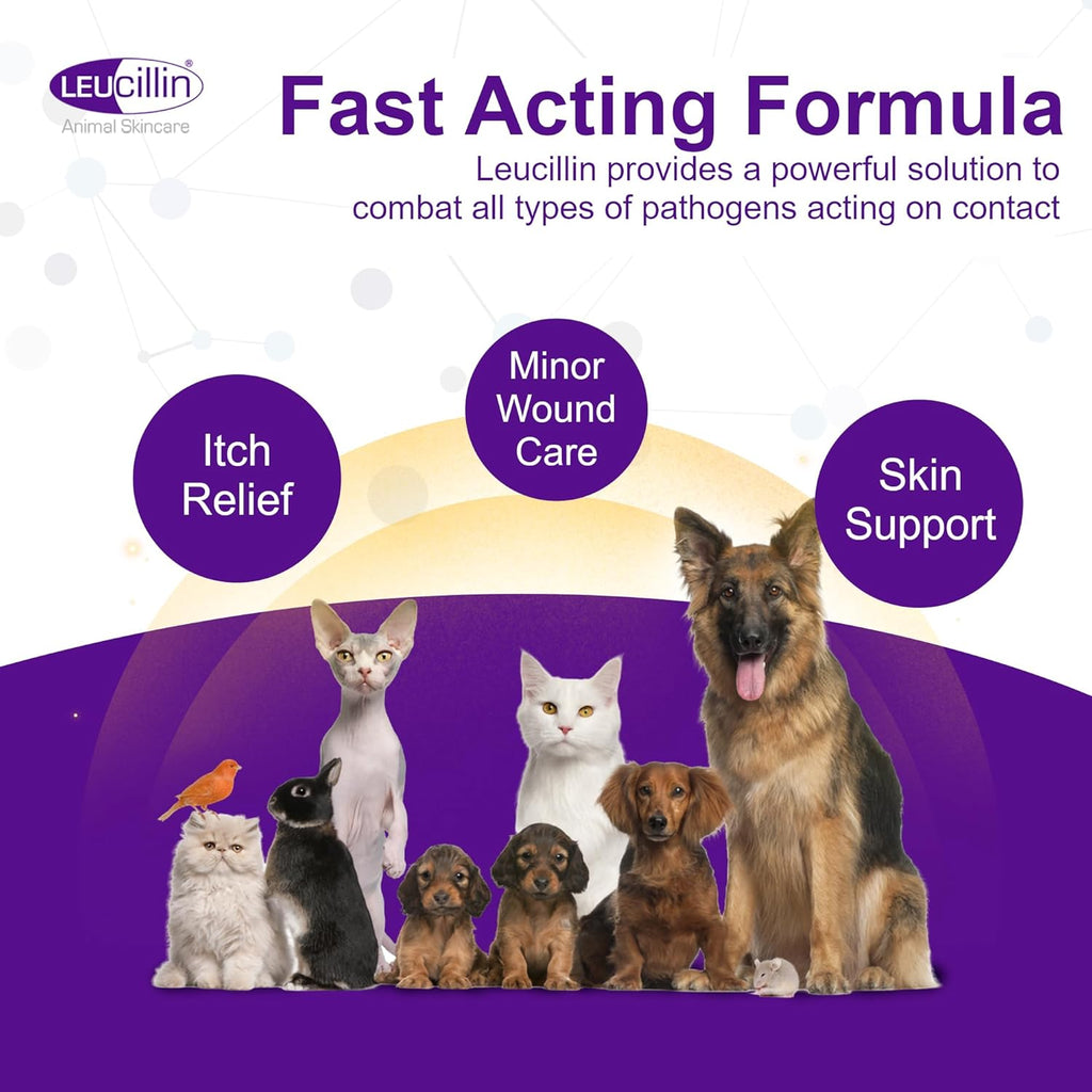 Leucillin Antiseptic Dog Cat Skin Care Solution Spray Instant Germ Killer