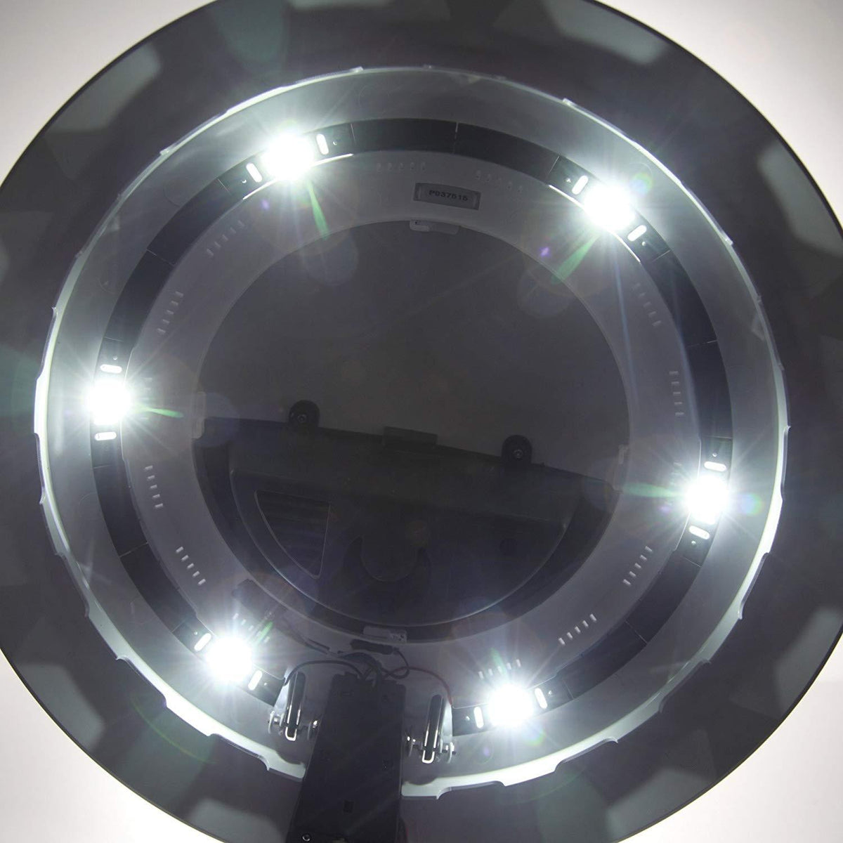 BiOrb Air 60L LED Smart Rainforest Terrarium