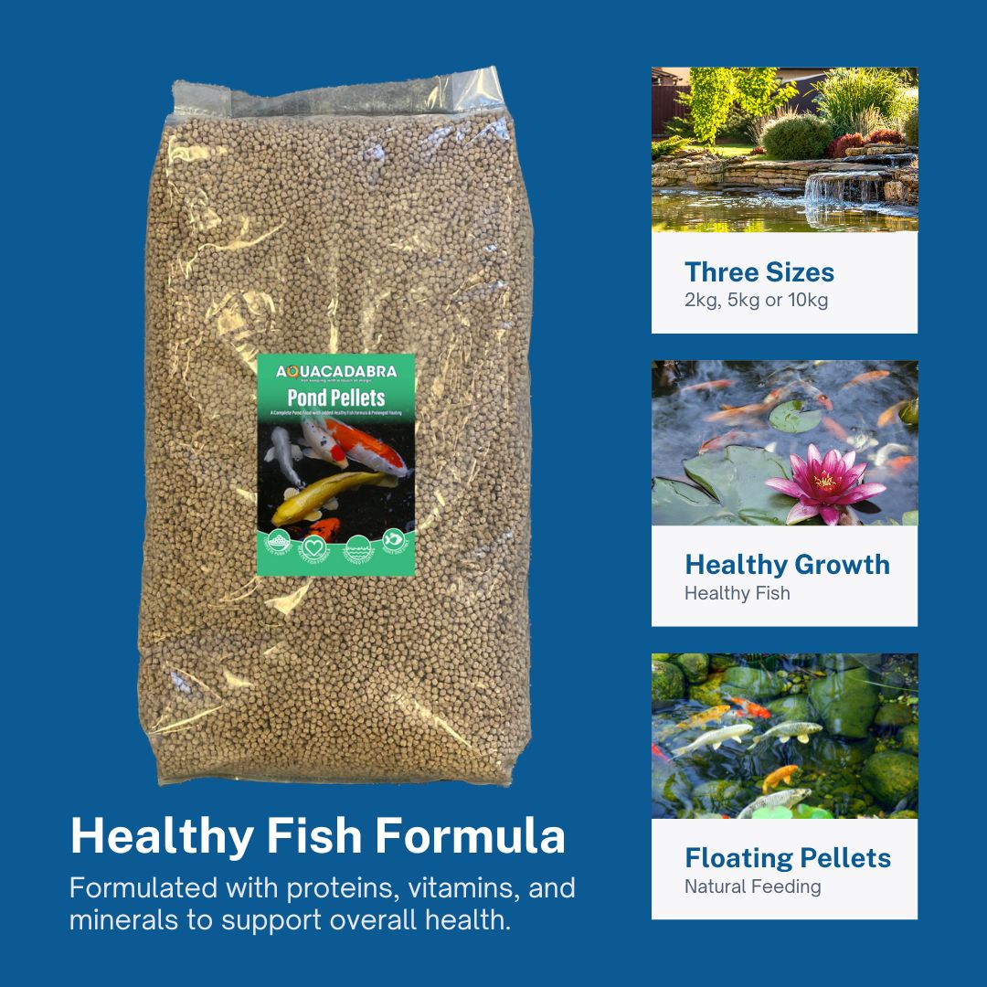 Aquacadabra Pond Food 2kg & P21 Auto Feeder