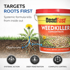 Deadfast Weedkiller Concentrate for Paths and Drives 12x 100ml Tub