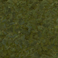 Sera Flora Nature 2kg Herbal Flakes for Herbivorous Fish