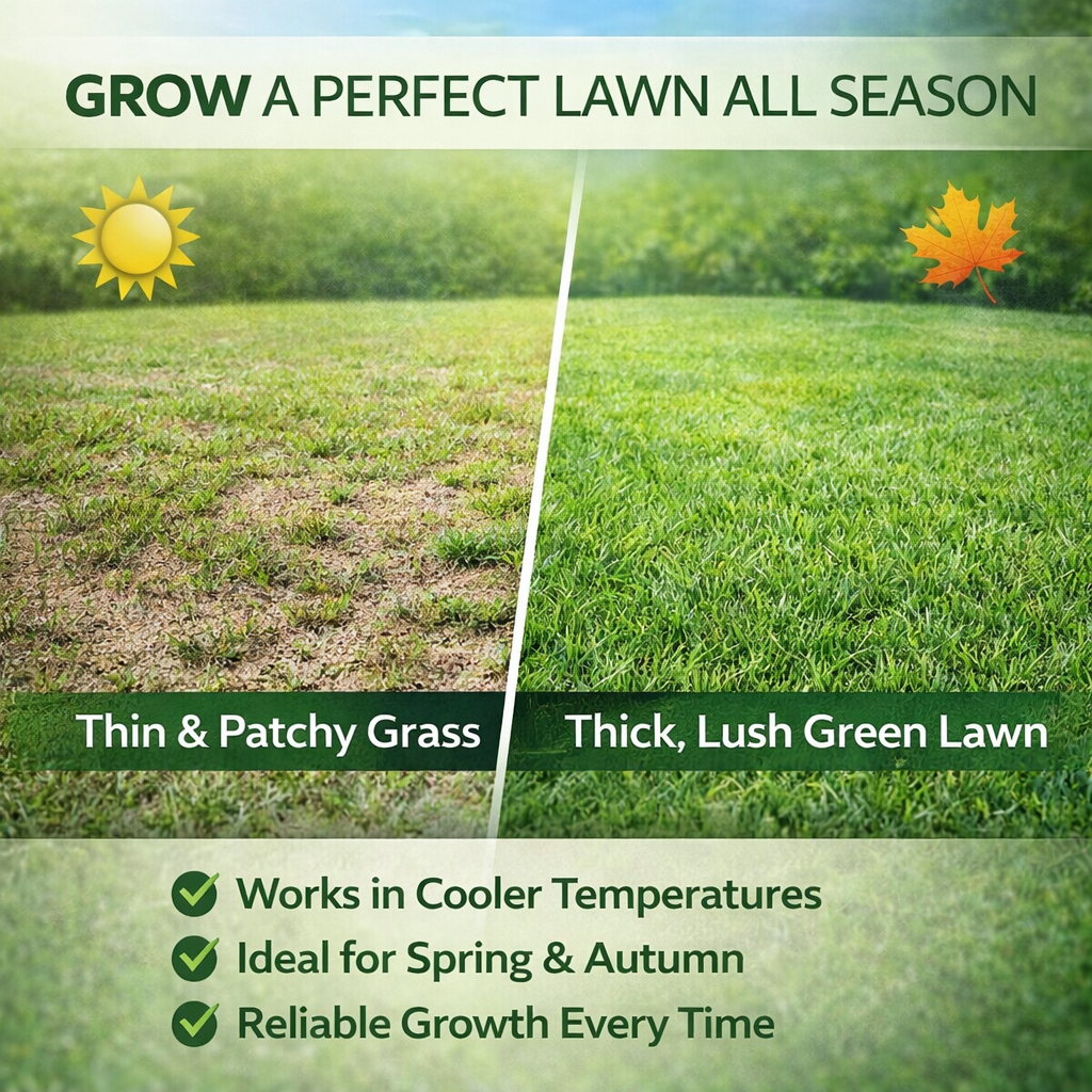 Westland Gro-Sure Fast Acting Lawn Seed 30m2 + 20% Extra Free Box