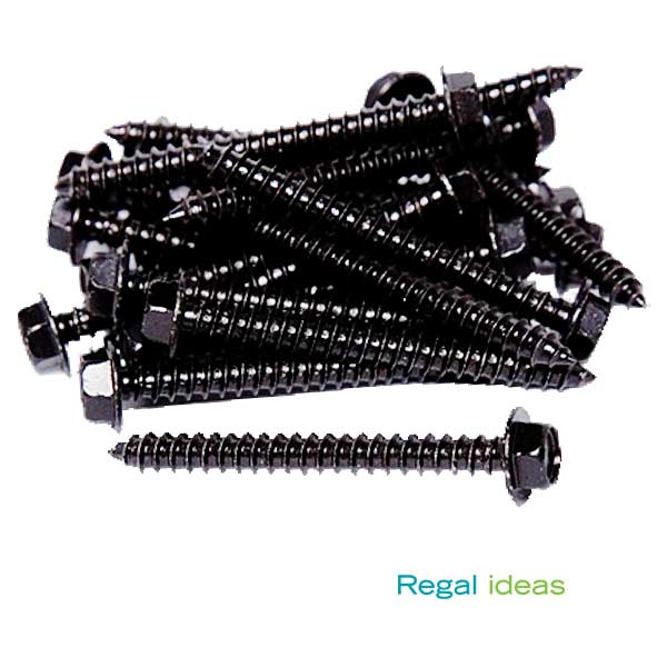 Regal Ideas Lag Screws