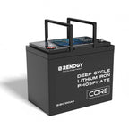 Renogy 12V 100Ah Core Series Deep Cycle Lithium Iron Phosphate Battery