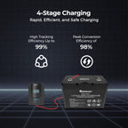 Renogy Rover Li 20 Amp MPPT Solar Charge Controller with Bluetooth Module