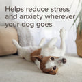 Beaphar Calming Spot-On Dog 0.7ml x3
