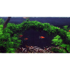 Tropica Vesicularia ferriei 'Weeping Moss' (Medium, Foreground) 1-2-Grow!