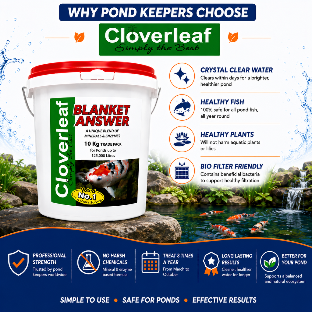 Cloverleaf Blanket Answer Pond Treatment