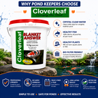 Cloverleaf Blanket Answer Pond Treatment