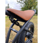 RooDog Rogue Fat Tyre Electric Bike