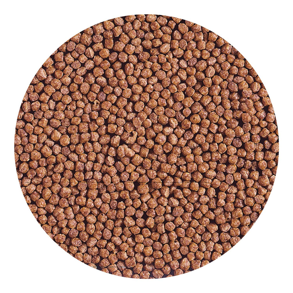 Hikari Cichlid Gold Medium Floating Pellets 1kg Fish Food