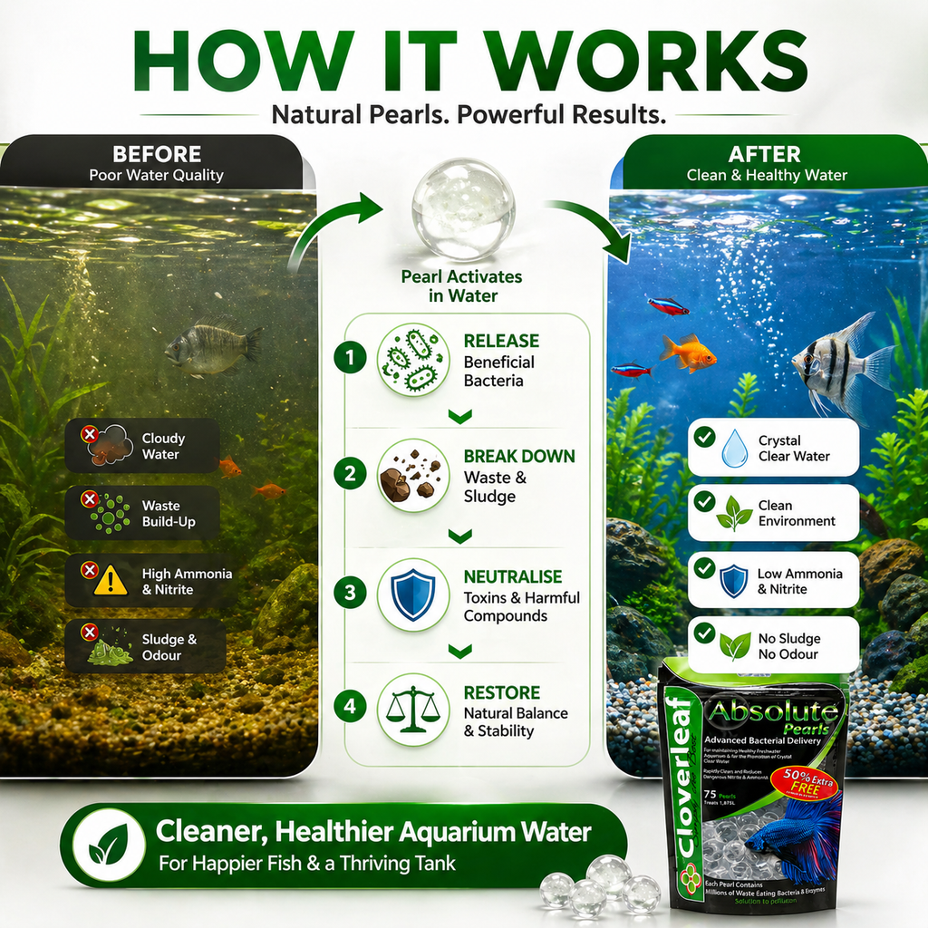 Cloverleaf Absolute Pearls 75 Aquarium Balls