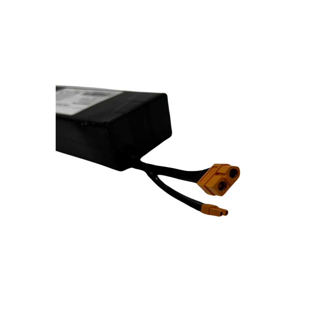 Kugoo S1 Pro Battery