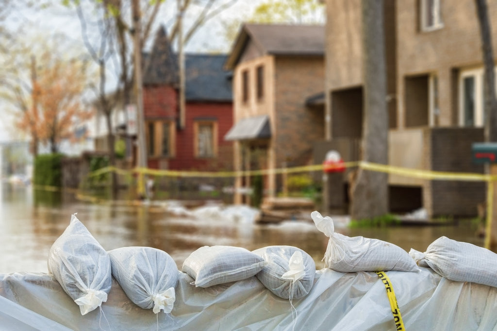 Sandbags 14"x26" Pack of 10 White with Tie Wrap