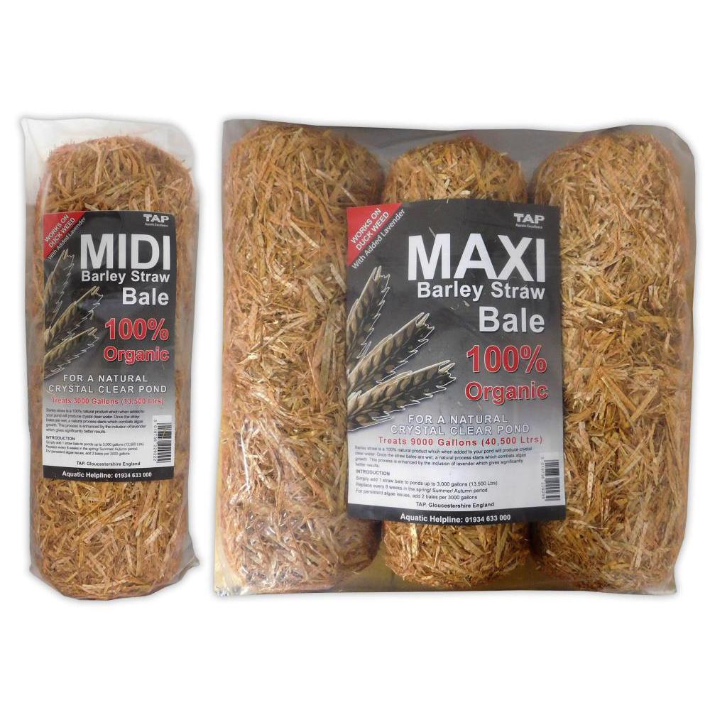 TAP Barley Straw Bales with Lavender - Midi & Maxi Options