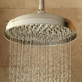 Open Box - Signature Hardware 214372 - Shower Heads Showers