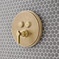 Open Box - Signature Hardware 485519 - Valve Trim Only Showers