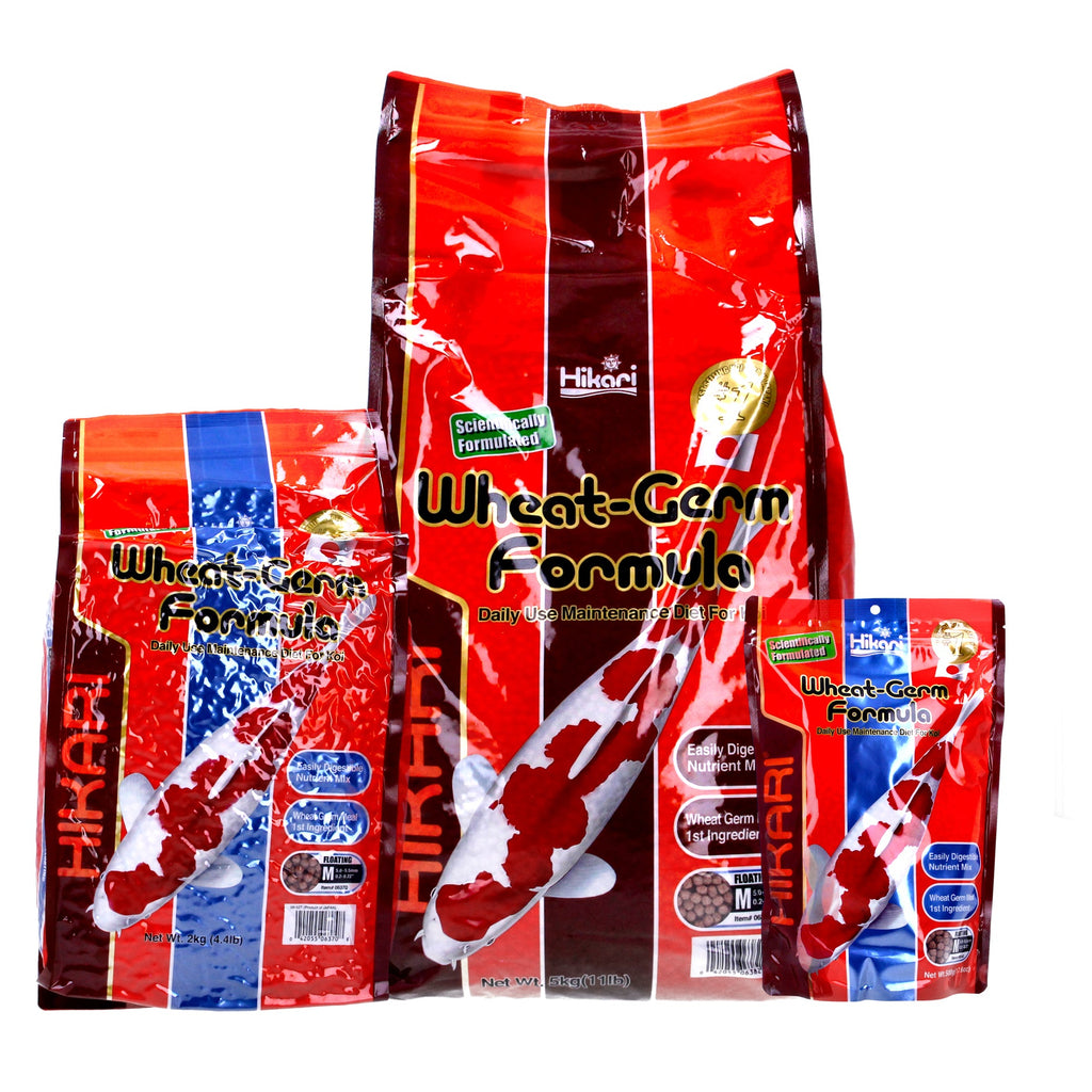 Hikari Koi Wheatgerm Pellets - Medium