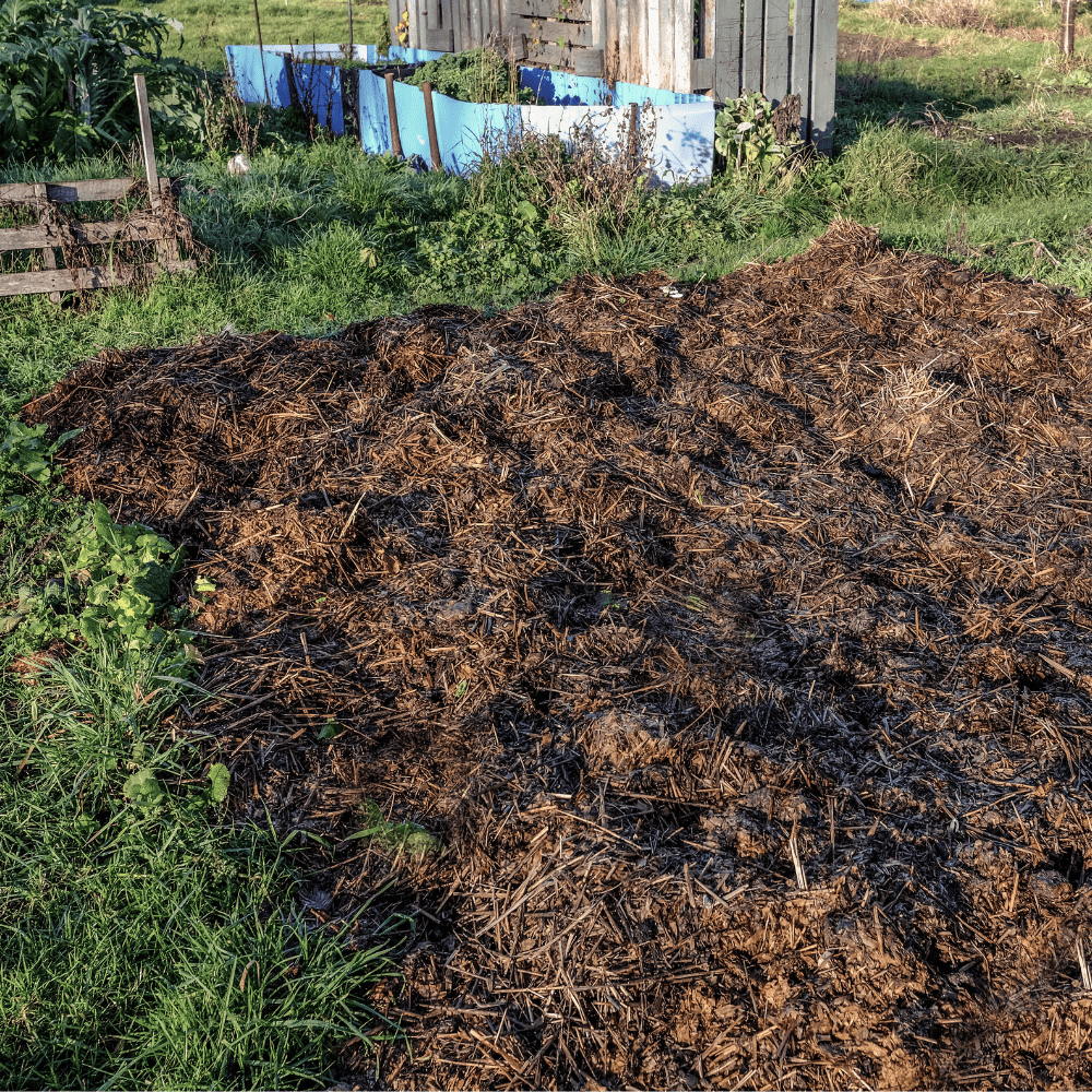 Spent Mushroom Compost - Dandy's Topsoil & Landscape Supplies Topsoil & Compost