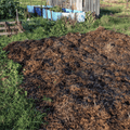 Spent Mushroom Compost - Dandy's Topsoil & Landscape Supplies Topsoil & Compost