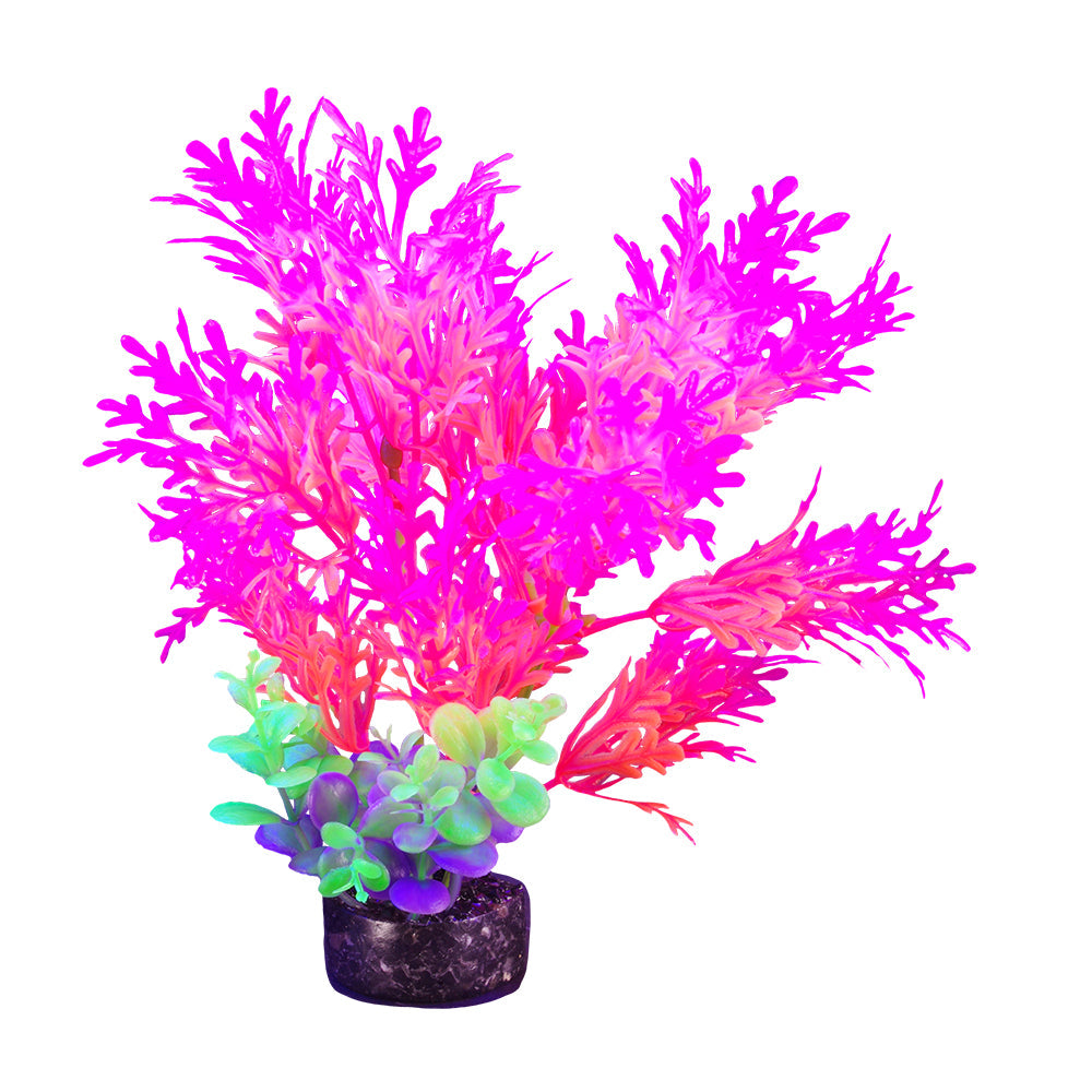 Marina iGlo Plant 7.5" (Pink) PP1003