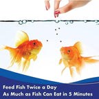 Aquarian Goldfish Pellets 100g – Balanced Diet for All Goldfish